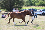 WJ6_4851