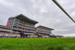 Race 6 4.45pm Julia Graves Roses Stakes portfolio