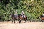 WJ6_7834