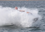 090802 AF-4560 IMG_2822