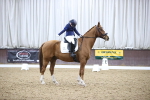 SBM_004436