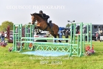 BPP_6381