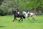 20260503-0988