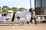 SBM_08336