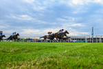 260826-Race 6-Lanarra-6021