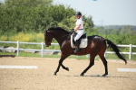 SBM_009652
