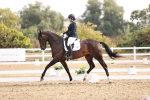 SBM_016894