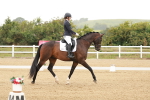 SBM_009862