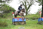 055-Holly.Day-MUSTANG portfolio