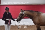 BPP_1426