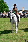 SBM_03931