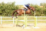 SBM_010987