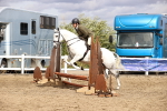 SBM_03495