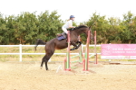 SBM_004933