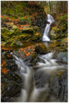 Maria's Falls Tollymore (IMG1107)