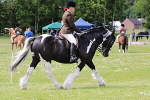 SIAL8054