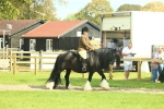 SBM_66389