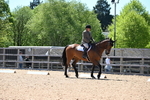 WJ6_0980