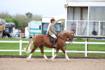 SBM_00229