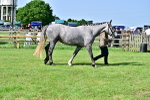 SBM_03354
