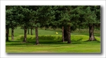 1st green panorama