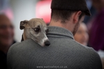 One man and his dog