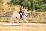 SBM_000321