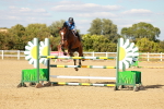 SBM_007922