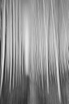 Andalucia: Tree Plantation portfolio