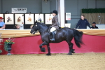 SBM_06240
