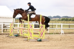 SBM_026229