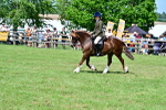 SBM_07944