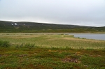 Varanger peninsula, Troms og Finnmark, Norway