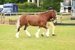 SBM_10370