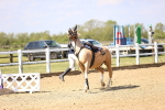 SBM_000491