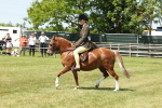 SBM_06757