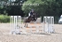 BPP_4037