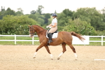 SBM_001917
