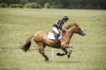 BVHT 140517  NXC -36