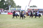 SBM_09956
