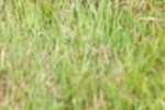 SBM_08413