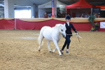 SBM_16649