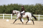 SBM_016838