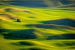 Palouse