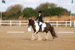 SBM_009328