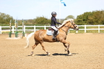 SBM_001483