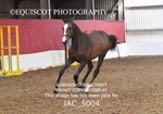 JAC_5004