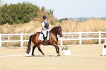 SBM_017349