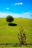 Bentha Hill 02 C