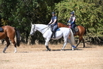 WJ6_8356